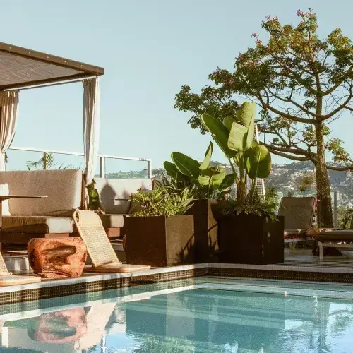 Videre terrace pool surrounded by cabanas adorned with white curtains, green plants and decorative pots.