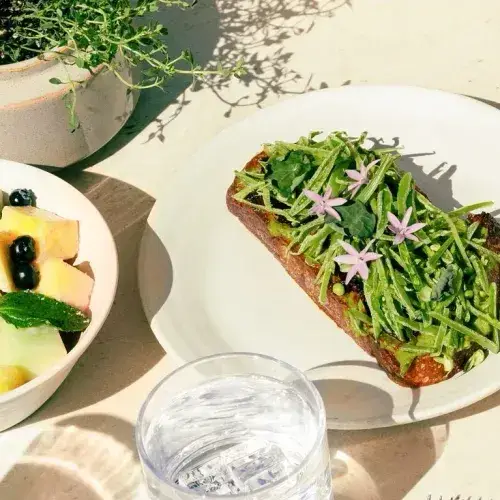 A light and healthy meal served on a table under the sunlight, featuring a white plate with toast, a bowl of fresh fruits, and a glass of water.