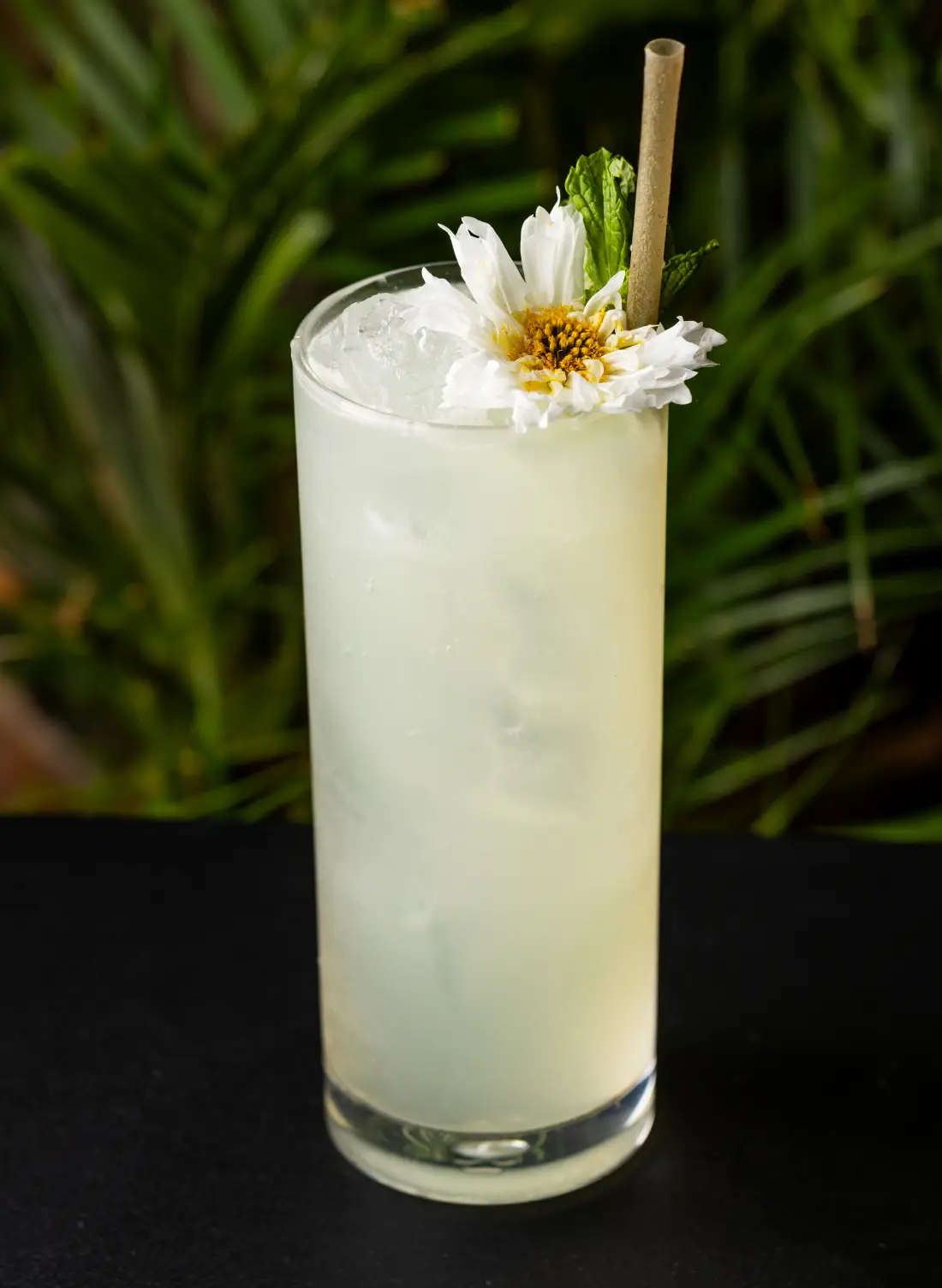 Videre Rooftop Restaurant & Bar gallery 8