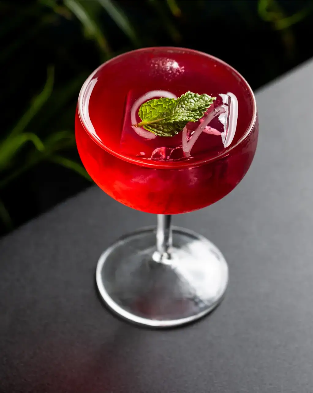 Videre Rooftop Restaurant & Bar gallery 11